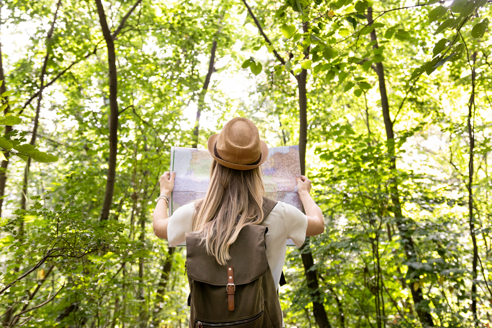 Voyageuse dans une forêt